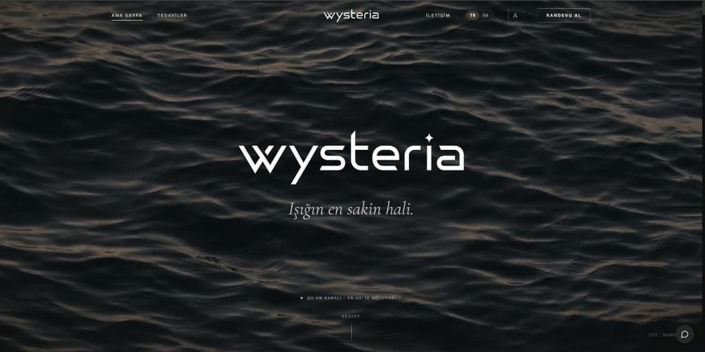Wysteria Works — Clinic